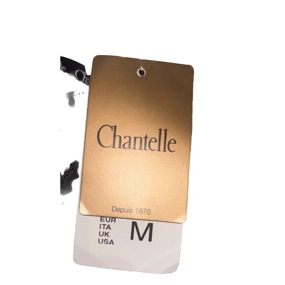 Chantelle Floral-Lace Soft Gold Corset Bustier Iv 36C Shape Wear Lingerie NWT - Picture 8 of 10